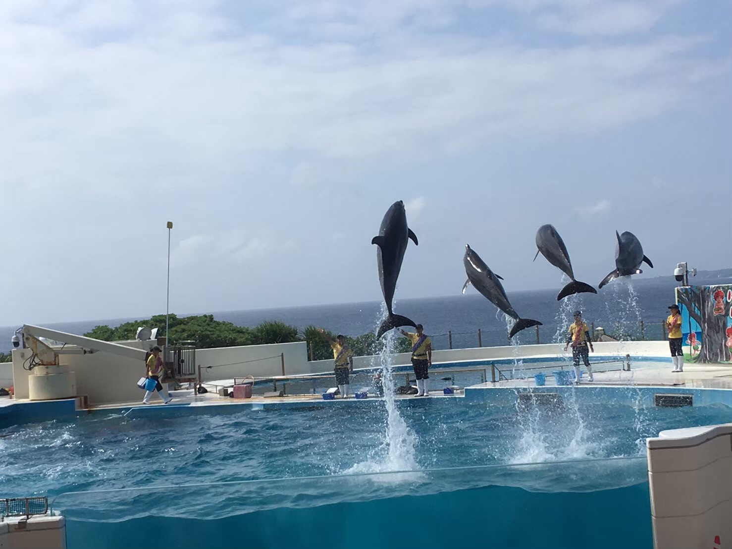 院内旅行～美ら海水族館編～