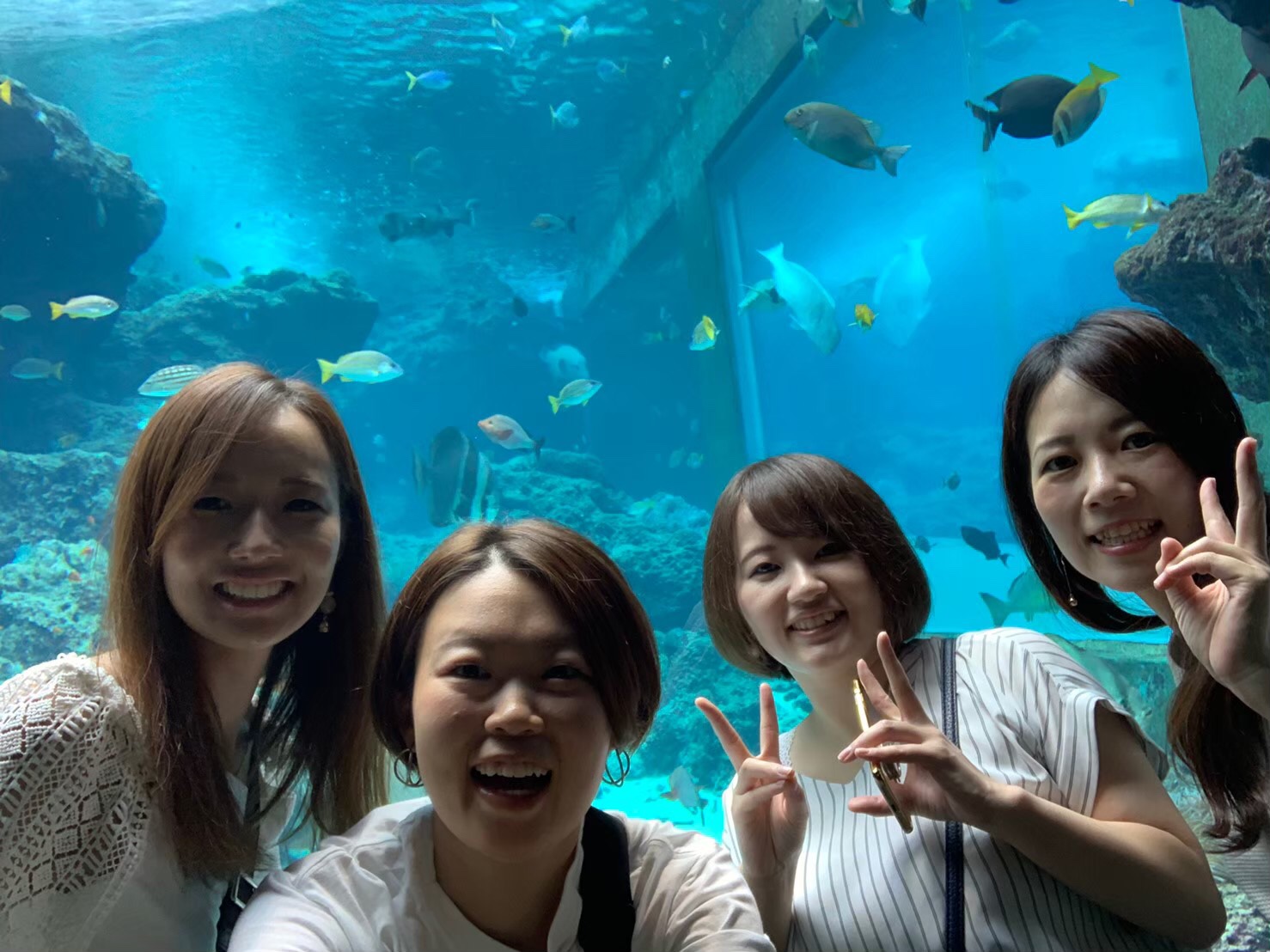 院内旅行～美ら海水族館編～